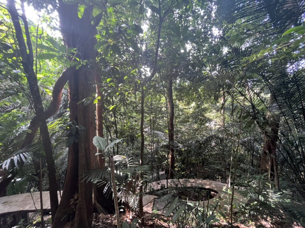 大自然の中でリフレッシュ Sekeping Serendah Retreats マレーシアでグランピング体験レポ 歩くマレーシア情報網