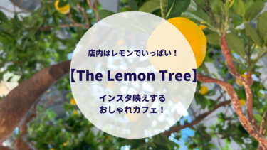 店内はレモンでいっぱい！【The Lemon Tree】インスタ映えするおしゃれカフェ！